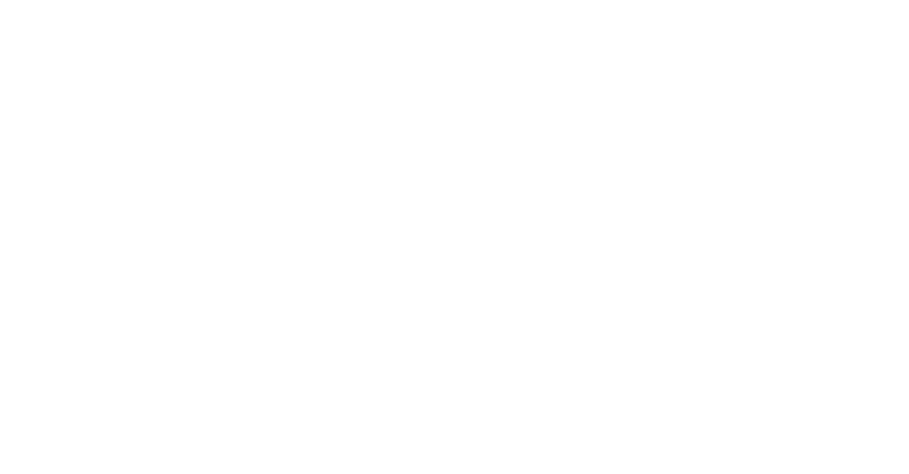 Village Project logo white